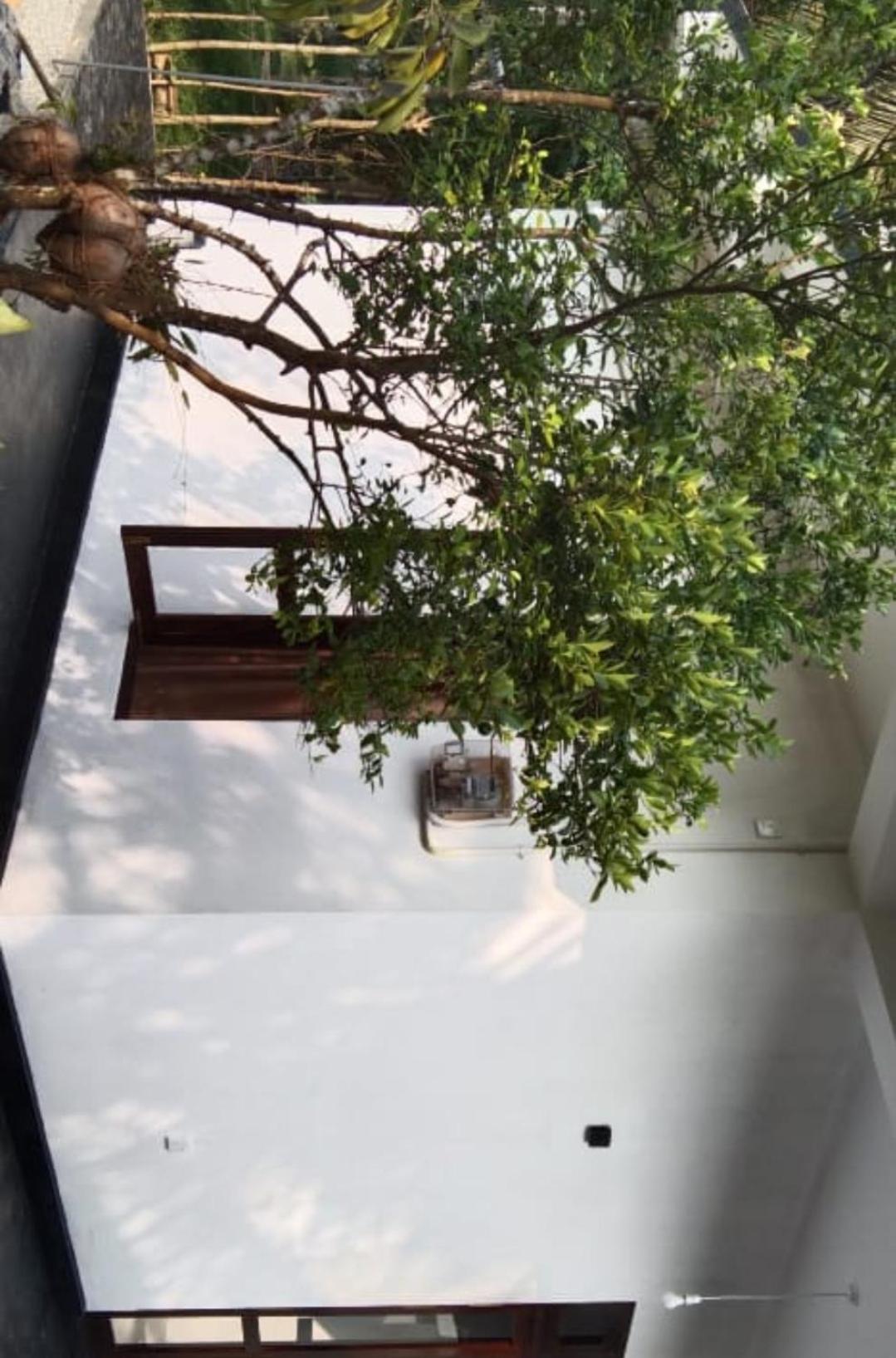 Villa Elegant - Weligama Εξωτερικό φωτογραφία